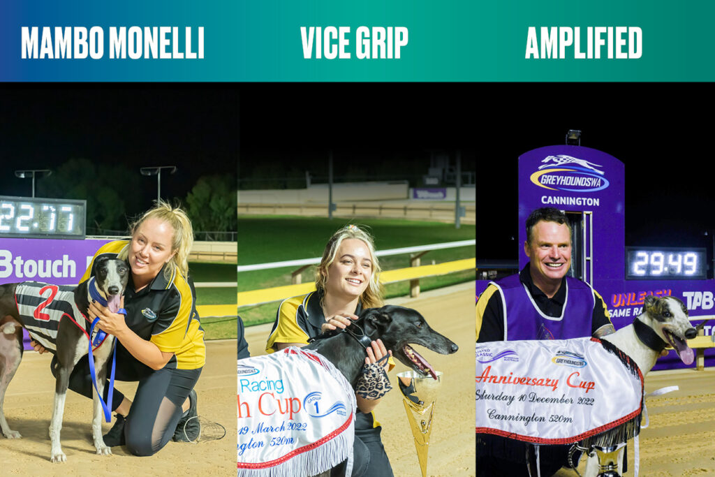 Top chasers announced as Greyhound of the Year finalists thumbnail