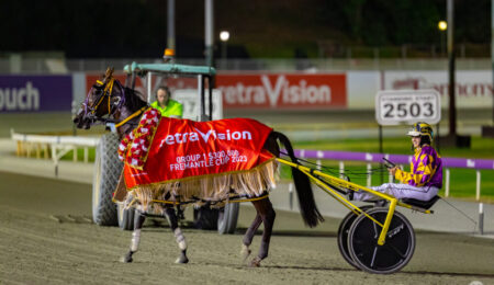 Racing WA Introduce New Field Selection Approach For Premier Harness Races   thumbnail