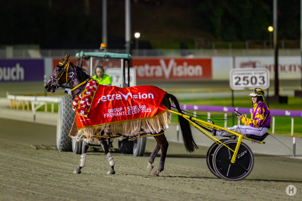 Racing WA Introduce New Field Selection Approach For Premier Harness Races   thumbnail