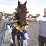 Bumper Field For 2024 Swan Draught Bunbury Pacing Cup