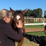 Racing retirees help kids apply Horse Sense to their lives thumbnail