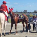 Luvaflair All Heart With Win At Pinjarra
