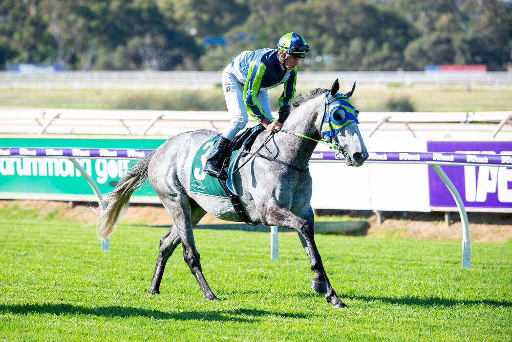 Neufbosc’s Strong Workout Inspires Perth Cup Confidence From Parnham thumbnail