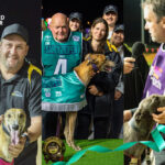 Top Chasers Announced as 2023 Greyhound of the Year Contenders thumbnail