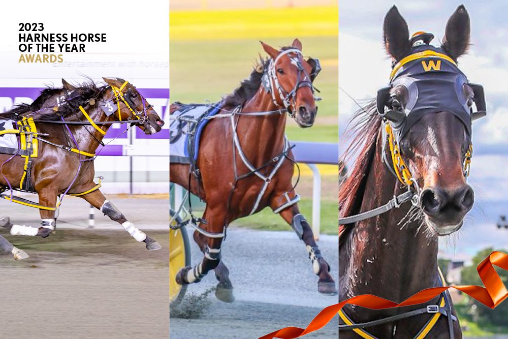 Contenders for the 2023 WA Harness Horse of the Year Awards announced thumbnail