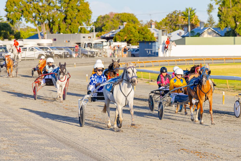 Pony Trots Blossom With Big Fields at Busselton thumbnail