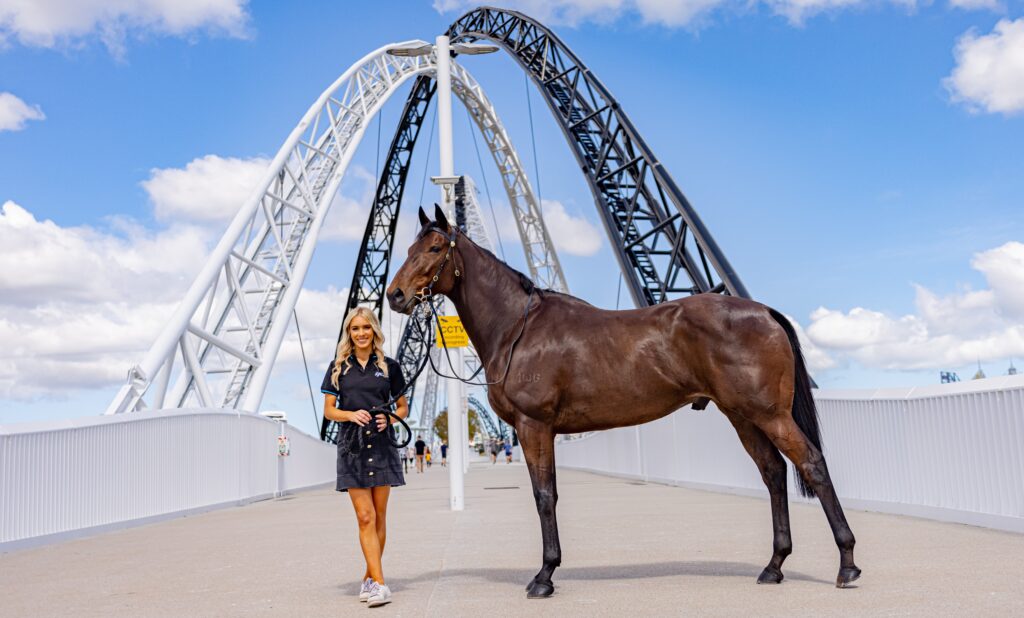 Join the thrills with the next champion racehorse in Racing WA’s free Own The Dream thumbnail