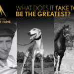 Who will join the stars in the WA Racing Hall of Fame in 2024? thumbnail