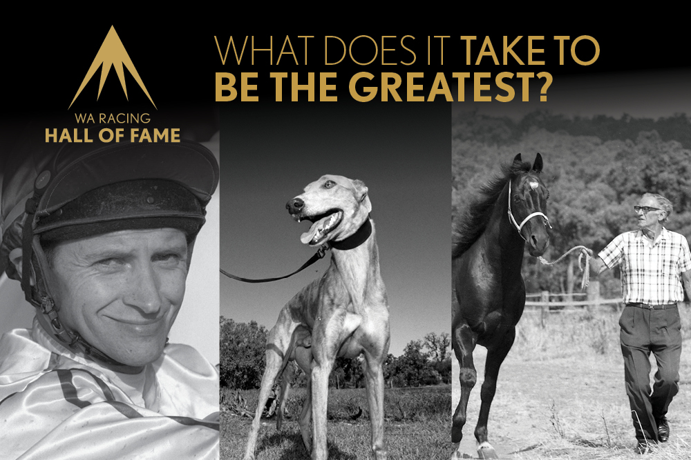 Who will join the stars in the WA Racing Hall of Fame in 2024? thumbnail