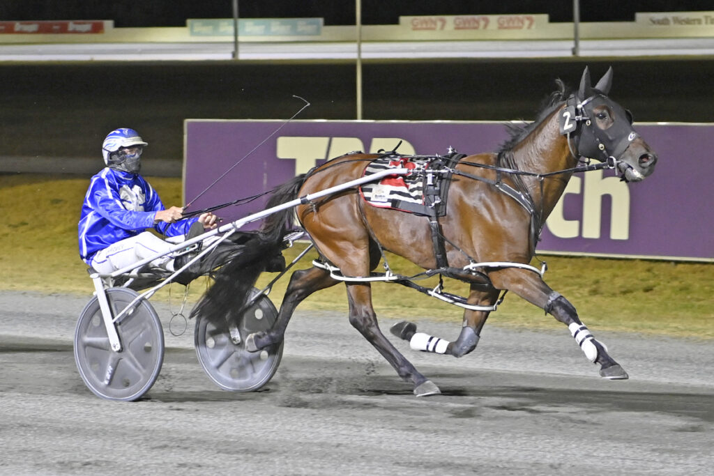 Dual Code McLaughlin Gets First Win At The Trots thumbnail