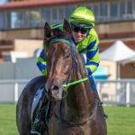 Alaskan After Elusive Luck In Melvista Stakes