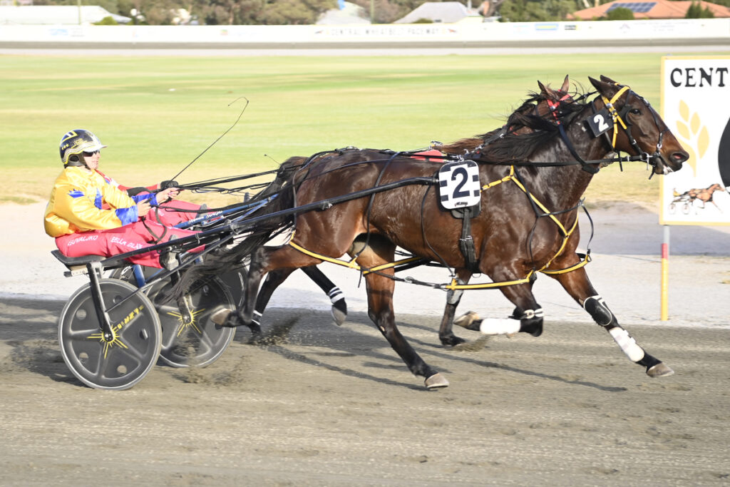 All Faith In Sister Cherie NZ With Win In Central Wheatbelt Cup thumbnail