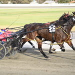 All Faith In Sister Cherie NZ With Win In Central Wheatbelt Cup thumbnail